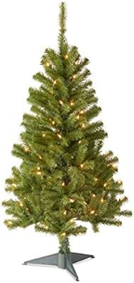 National Tree Company Pre-lit Artificial Mini Christmas Tree | Includes Pre-strung White Lights a... | Amazon (US)