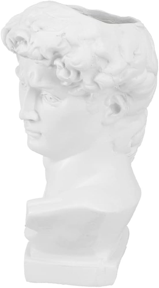 Amazon.com: David Bust Sculpture David Statue Greek Head Statue Vase Bust Planter Face Flower Pot... | Amazon (US)