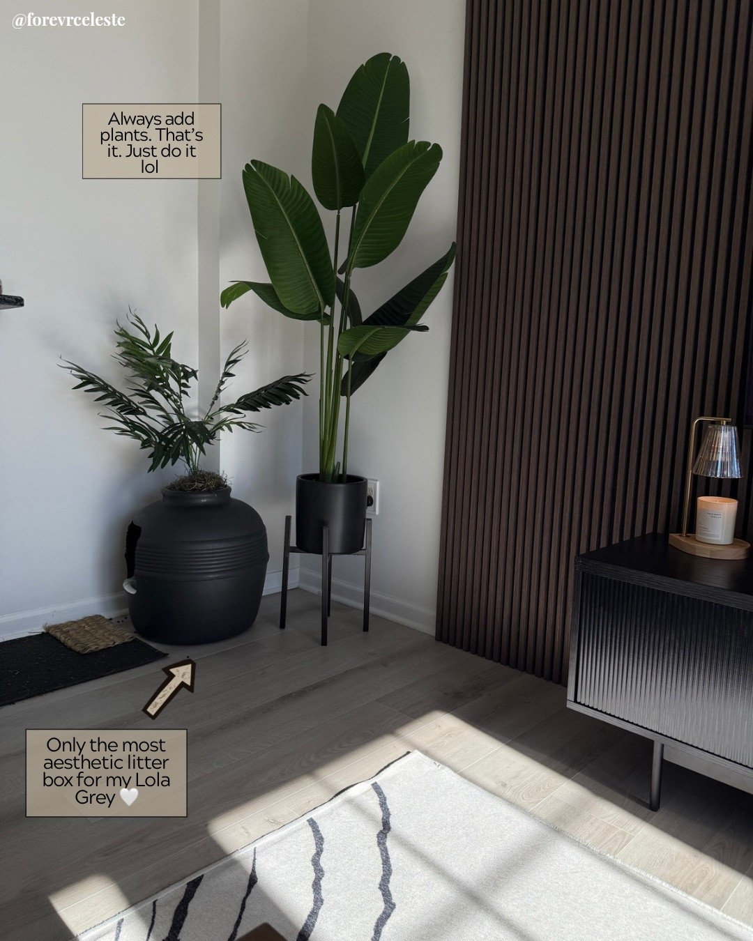 Only the most aesthetically pleasing corner for my Lola Bunny. You should see it lit up at night! OMG 😍  #ltkpet #homedecor #aesthetichome #pets 

#LTKdayinmylife #LTKHome #LTKvlog