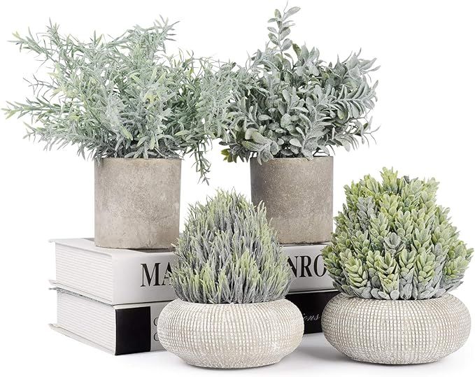 JC nateva Set of 4 Small Artificial Plants Mini Potted Fake Plants Indoor for Home Office Farmhou... | Amazon (US)
