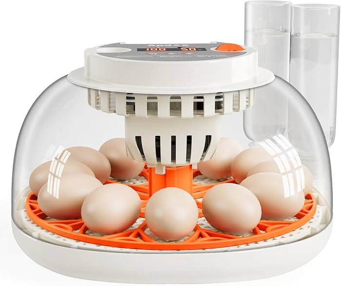 12 Egg Incubator with Temperature and Humidity Display, Automatic Egg Turning, Egg Candler, Autom... | Amazon (US)
