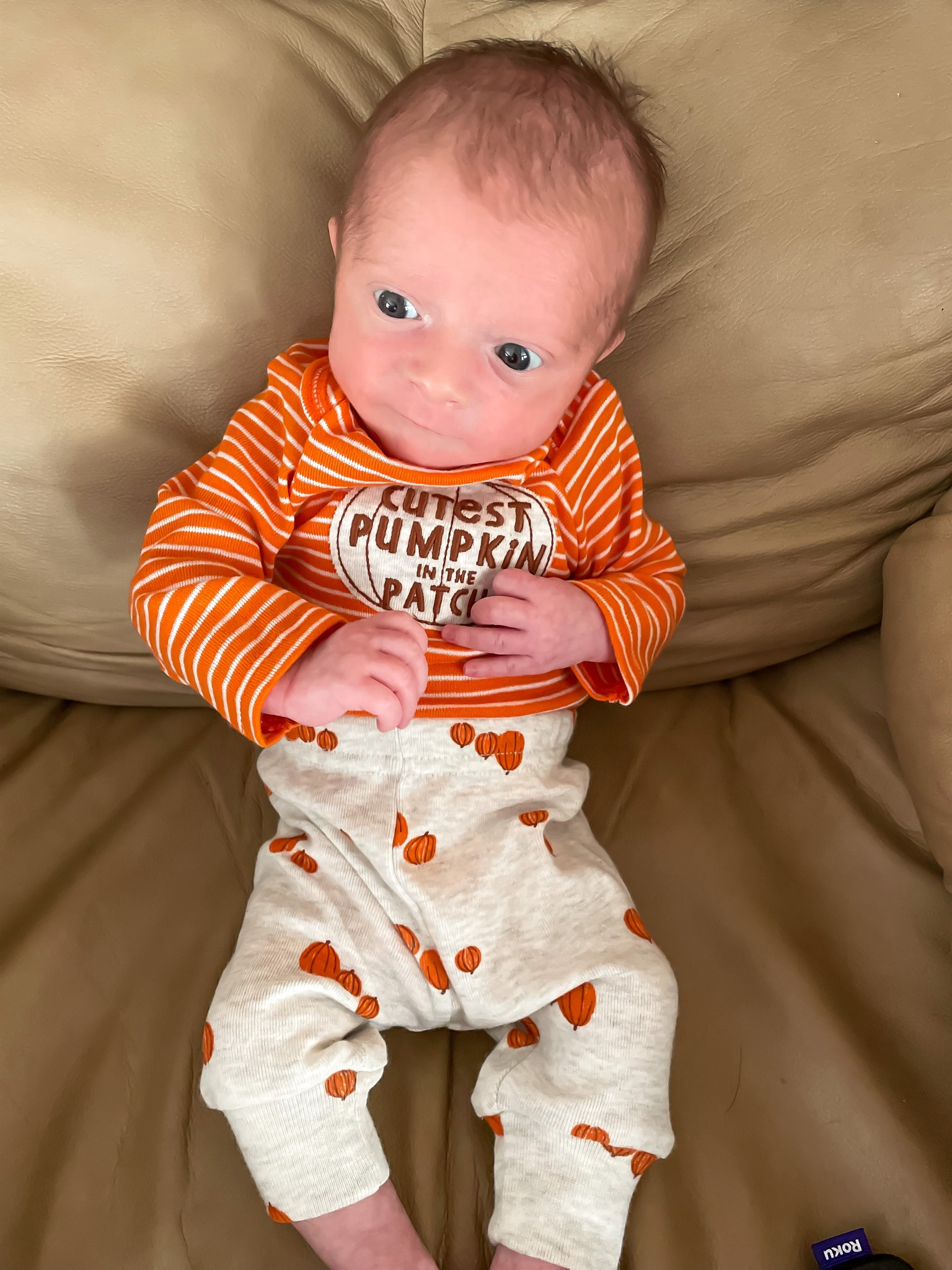 Somebody definitely is the cutest pumpkin in the patch! Outfit is only $10!!!

#LTKstyletip #LTKbaby #LTKunder50