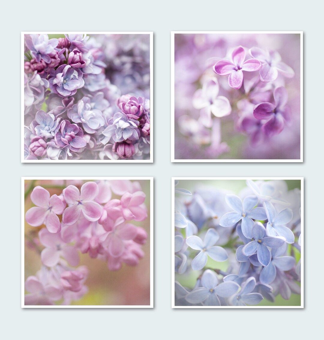 Lilac Floral Photography Set Romantic Fine Art Photo - Etsy | Etsy (US)
