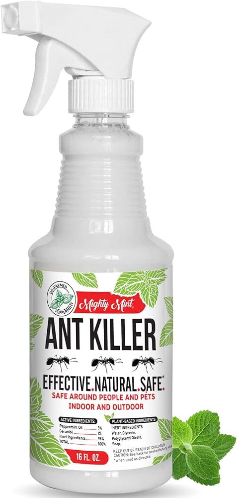 Mighty Mint - 16oz Natural Peppermint Oil Ant Killer and Repellent Spray - Safe for Indoor/Outdoo... | Amazon (US)