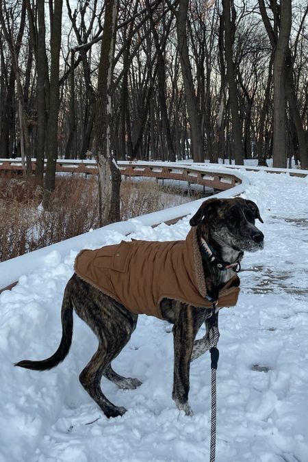 olives winter coat is linked! She wears a L & is 47 lbs! 

#LTKunder50 #LTKfamily