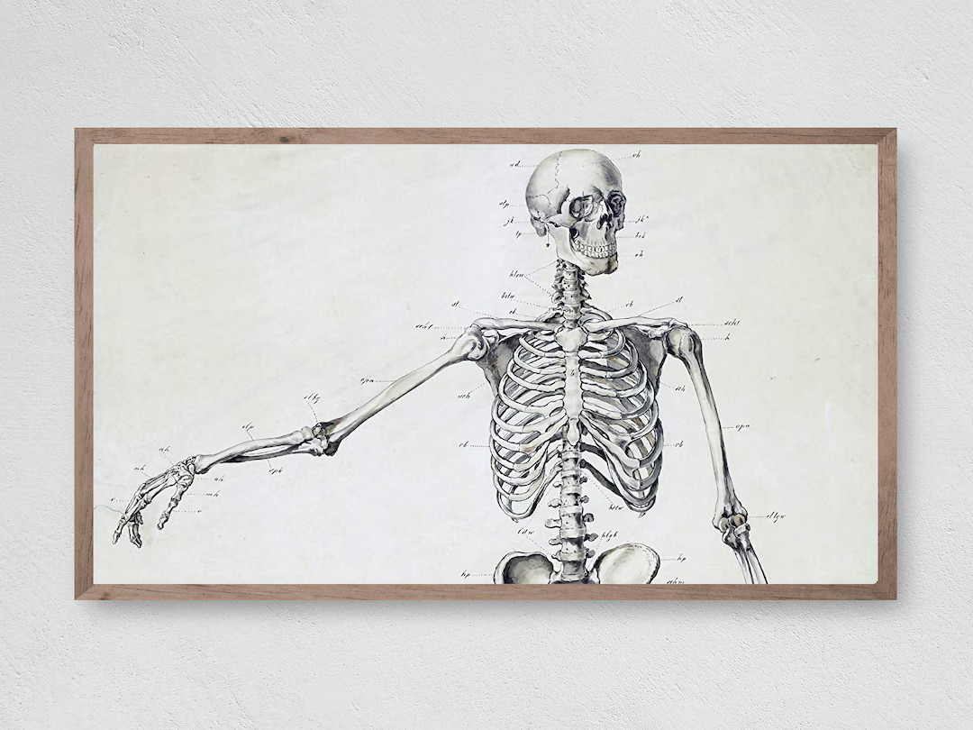 Samsung Frame TV Art Halloween Vintage Skeleton Frame TV - Etsy | Etsy (US)