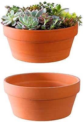 Large Terracotta Pots for Succulent - 10 Inch Cactus Plant Containers Indoor Garden Bonsai Pots w... | Amazon (US)