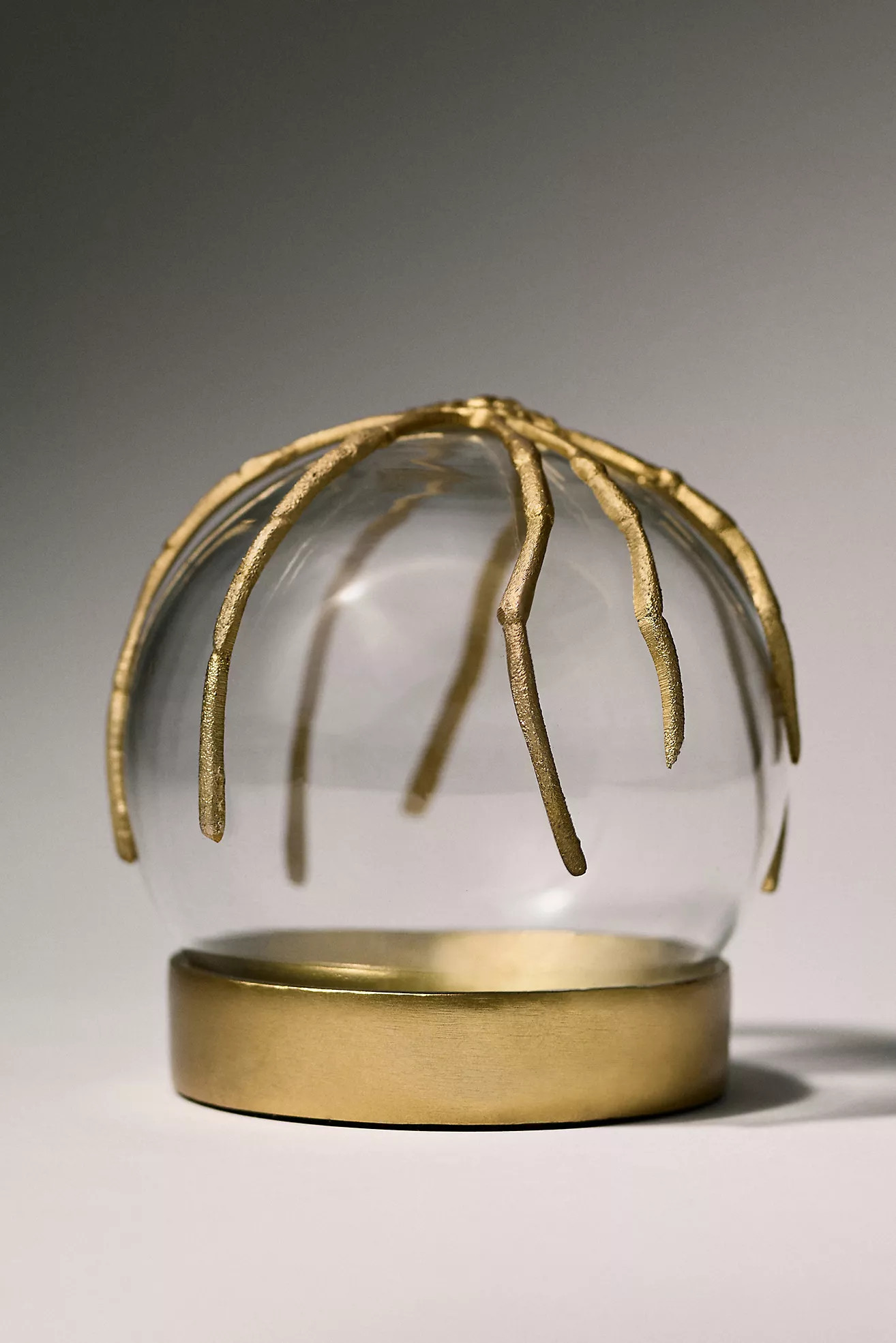 Spider Cloche Terrarium | Anthropologie (US)