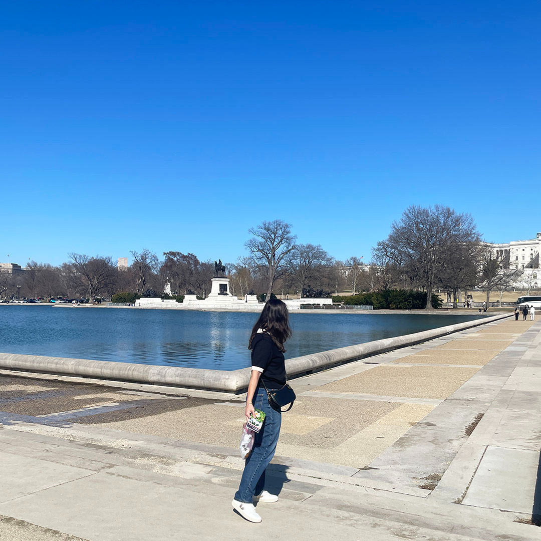 Follow me to the capitol! Exploring the US Capitol and loving my comfy sneakers. 

 #LTKootd #LTKOver40 #LTKPetite
