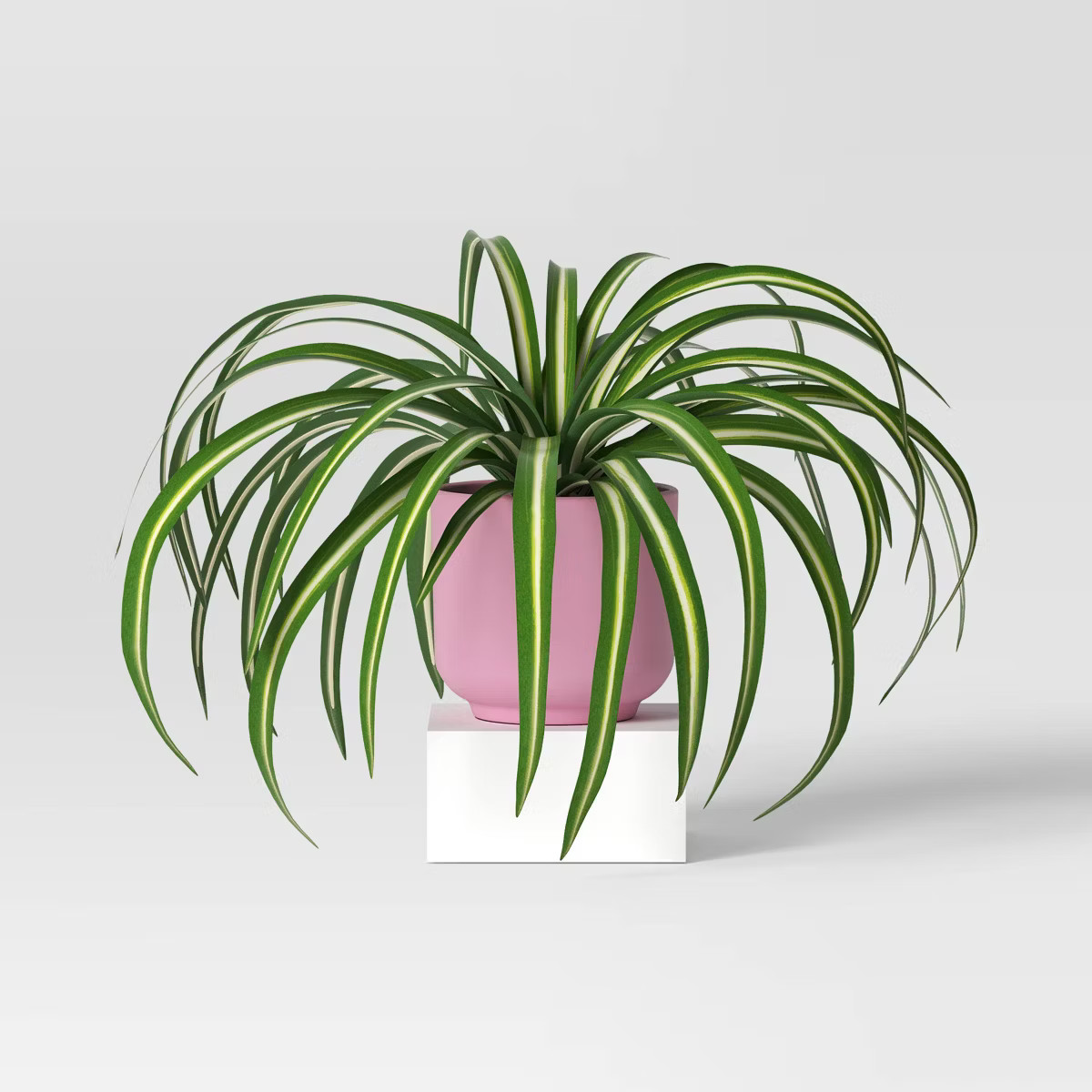 7' Spider Plant in Pink Pot Artificial Plant - Room Essentials™ | Target