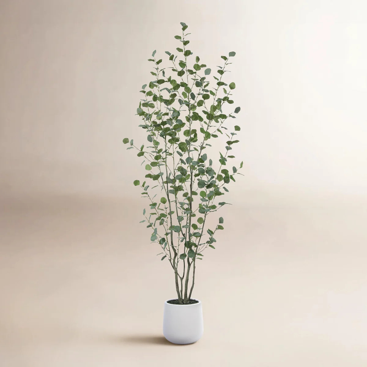 Adalia Artificial Eucalyptus Tree in White Planter | Wayfair North America