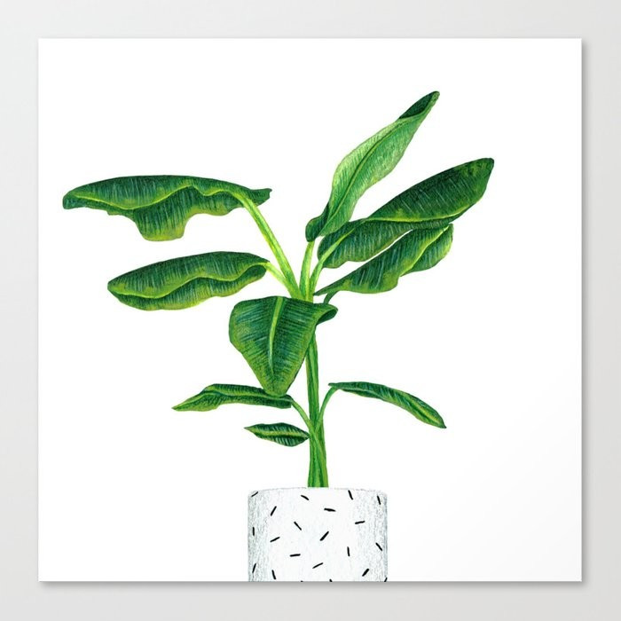 House Plant Canvas Print by glitch_ | Society6