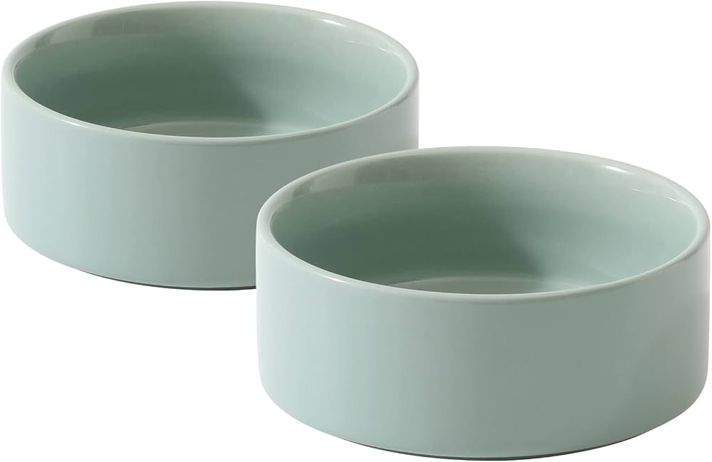 Ceramic Set of 2 Dog Bowls, Food and Water Bowls for Dogs, Puppy, 2pcs Dog Dishes, Dog Feeder(6in... | Amazon (US)