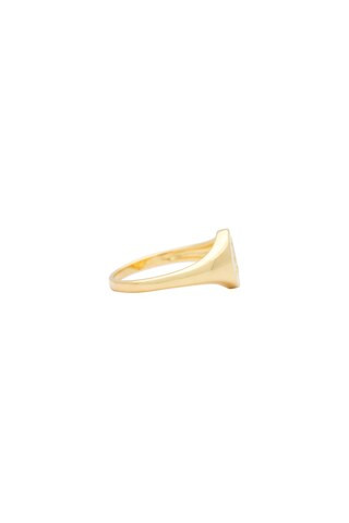 The Oval Signet Ring
                    
                    Luv AJ | Revolve Clothing (Global)