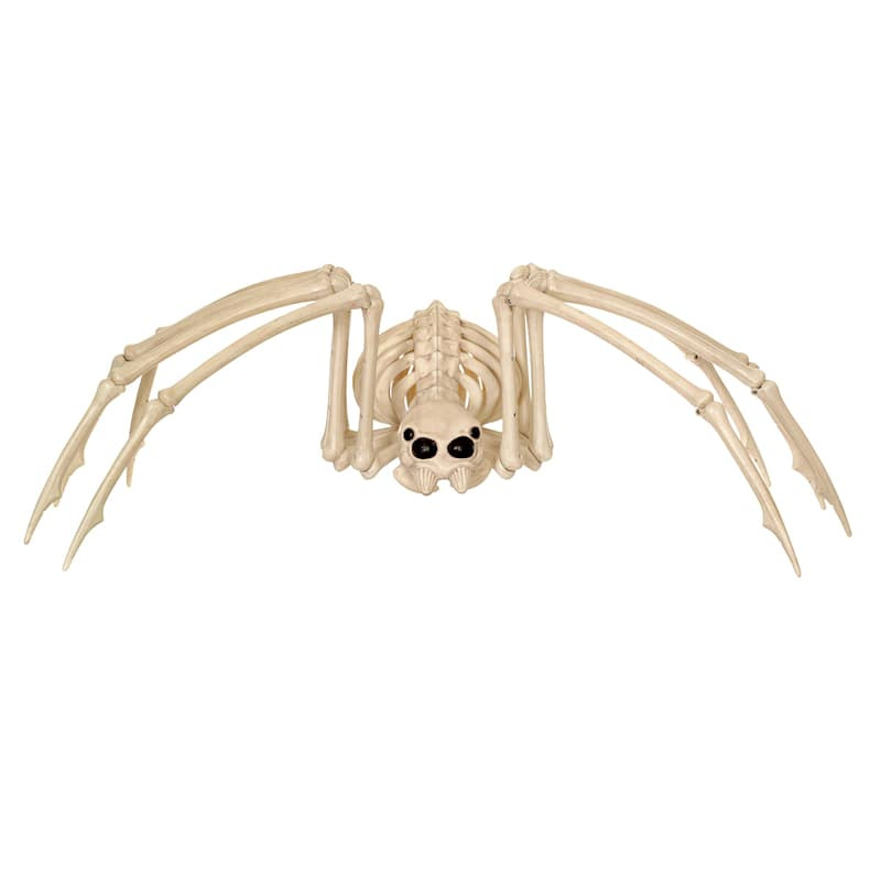 Halloween Spider Skeleton, 40.5" | At Home