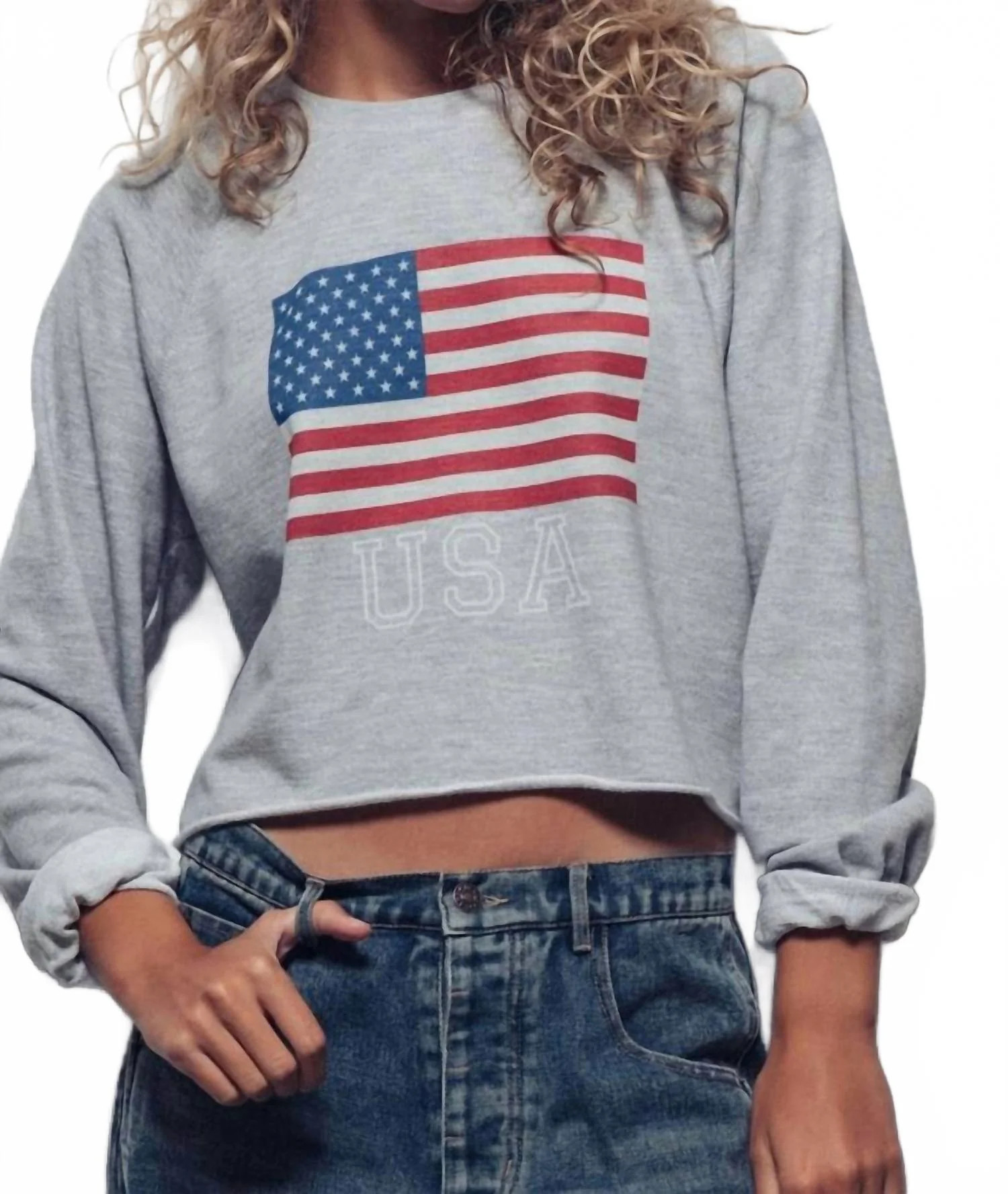 Cropped Usa Flag Graphic Sweatshirt In Heather Grey | Shop Simon