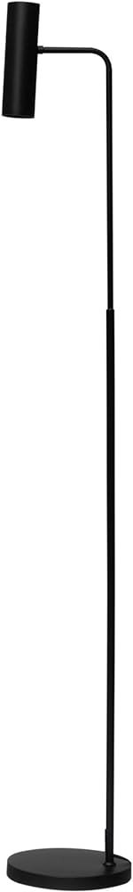 Bloomingville Bloomingville Modern Metal Floor Lamp, Matte Black 10"L x 9"W x 61"H | Amazon (US)
