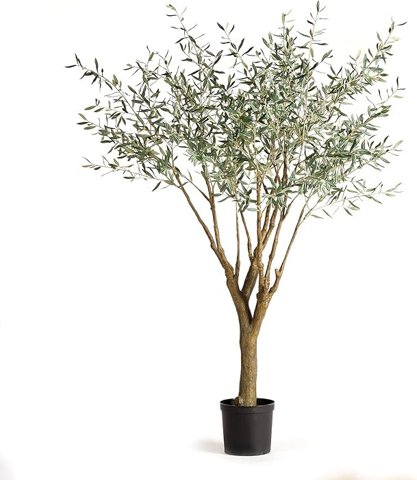 Napa Home & Garden, Grand Olive Tree Drop-in 8' | Amazon (US)