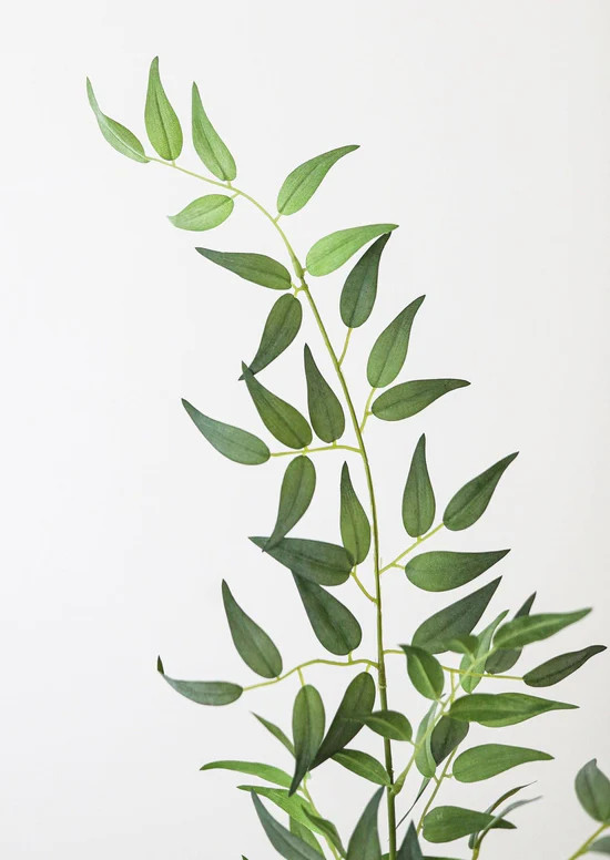 Fake Leaves Italian Ruscus Branch - 49 | Afloral (US)