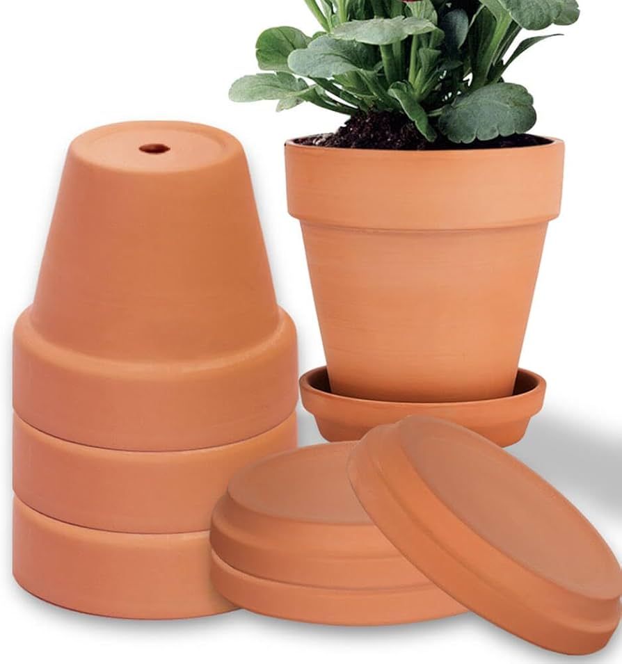 6 Inch Clay Pot for Plant with Saucer - 4 Pack Large Terra Cotta Plant Pot with Drainage Hole, Fl... | Amazon (US)