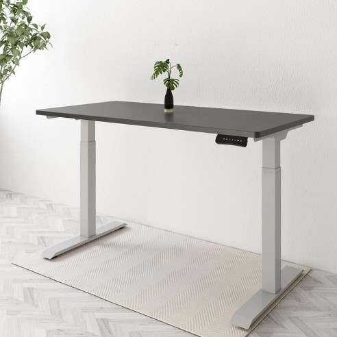 Seiffen Laminated Standing Desk (Eco & Pro) | FlexiSpot
