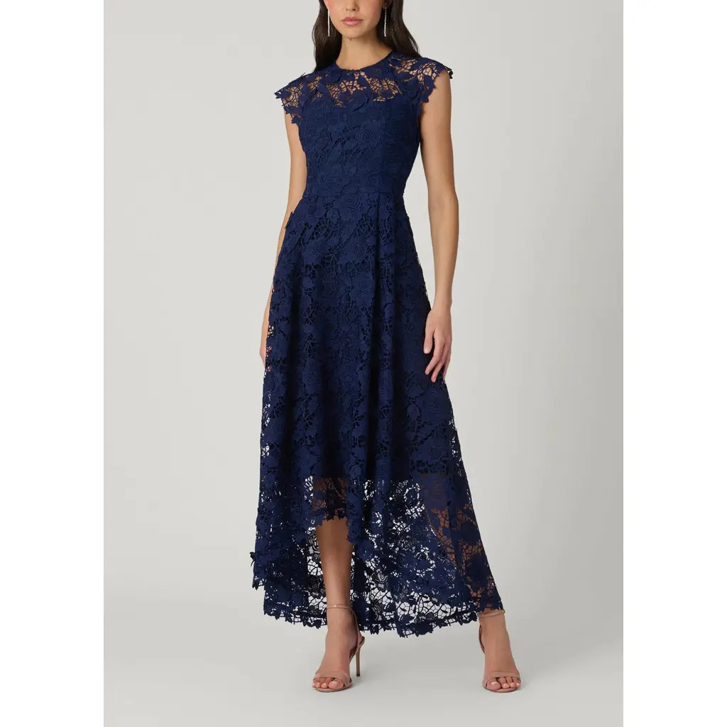 Shoshanna Midnight Brena Cheshire Floral Lace Dress in Navy at Nordstrom, Size 0 | Nordstrom