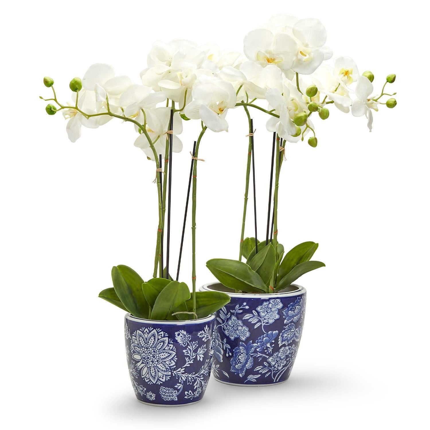 Blue and White Hand-Painted Planters, Set of 2 | Burke Decor
