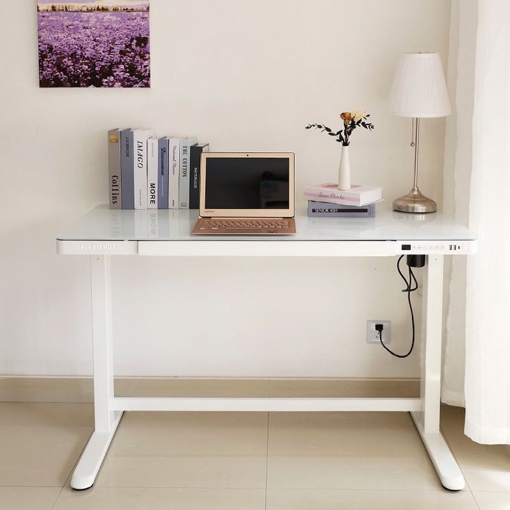 Flexispot Standing Desk | FlexiSpot