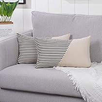Set of 2 Lumbar Velvet Soft Decorative Throw Pillow Covers  | Amazon (US)
