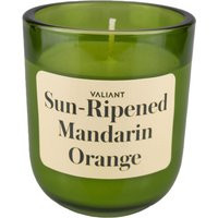 Sun-Ripened Mandarin Orange Candle | Soy Wax Green Glass Jar Gardening Summer Gift Vibrant, Zesty, Fruity Scent | Etsy (US)