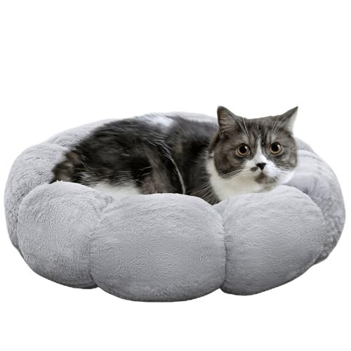 petfelix Cat Beds for Indoor Cats, Machine Washable Non-Skid, Fluffy Flower Cat Bed Cute, Anti Anxiety Dog Beds for Toy Size Dogs, 20 * 20 Inches, Grey | Amazon (US)