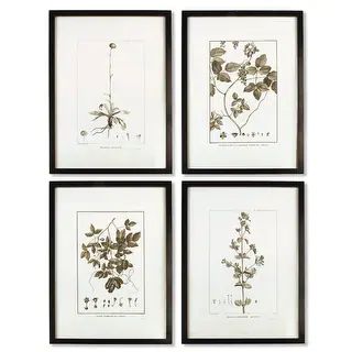 Framed Sepia-Tone Botanical Prints, Set Of 4 | Bed Bath & Beyond