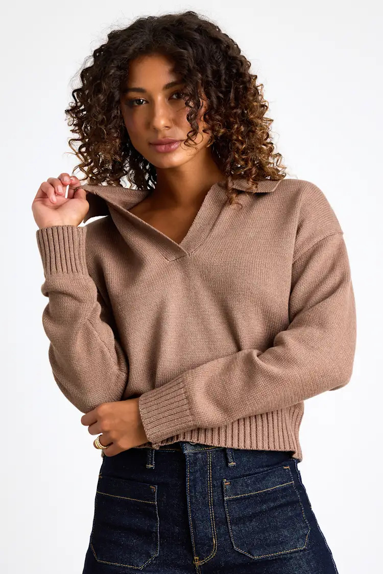 Cozy Forecast Light Brown Collared Pullover Sweater | Lulus