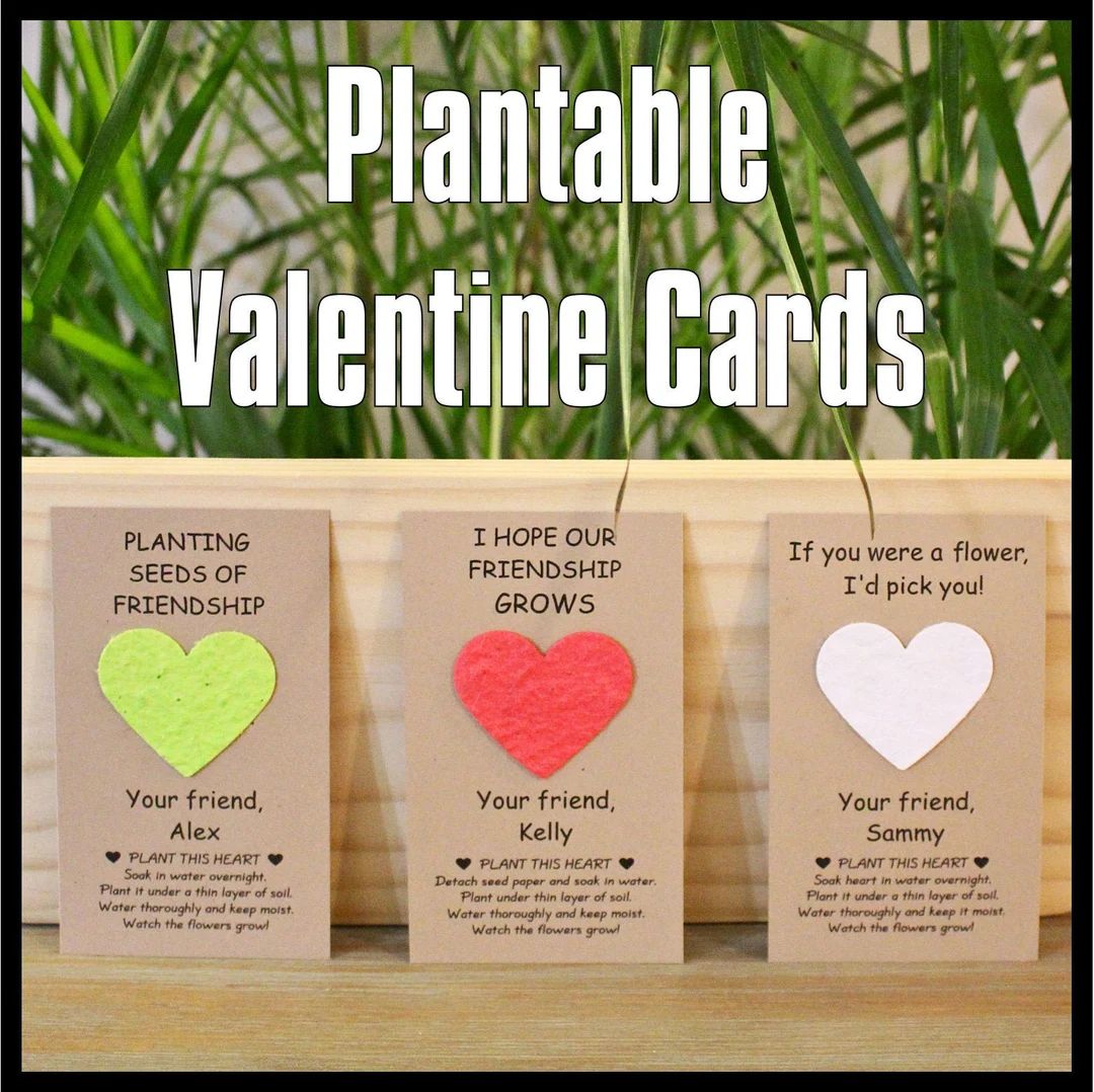 Plantable Valentines Cards, Kids Valentine Cards, Plantable Seed Paper, Teacher, Class, Valentine... | Etsy (US)