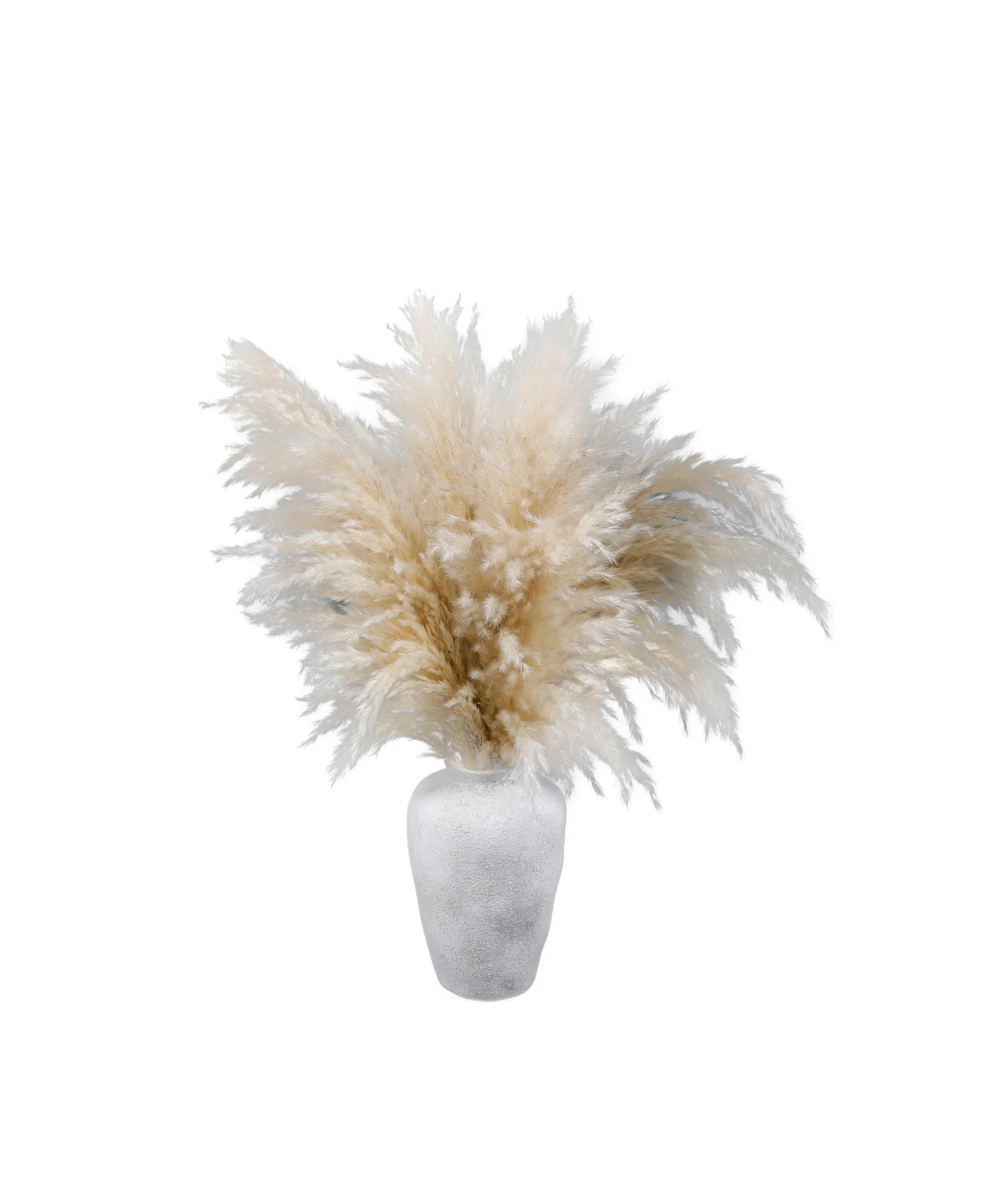 Home Decor Collection 22-Inch Pampas Grass Arrangement in Natural Ceramic Vase – Perfect for Ta... | Walmart (US)