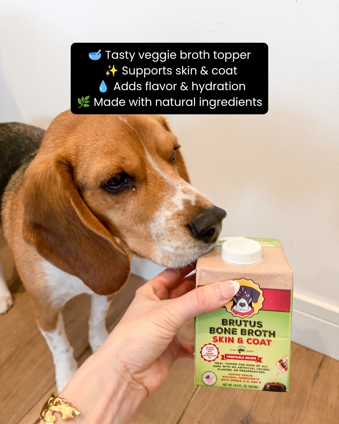 Make every meal more exciting for your pup 🐶🥣✨ with this vegetable broth for dogs! Perfect as a meal topper, tasty treat, or hydration boost, it adds delicious flavor while making mealtime even more enjoyable 💖🐾. Great for picky eaters or simply giving your furry friend a little extra love at every meal 👀✨. Trust me, your pup will be wagging their tail for every bowl 💕

#dogbroth #dogfoodtopper #dogtreats #petessentials #dognutrition #furbaby #doglover #petparents #doglife #healthypets #dogcare #meal topper #hydrationfordogs #happydog #petwellness #ltkpets #ltkfinds #musthave #dogmom #spoilyourpet #petlove #dogapproved #mealtimefun 

 