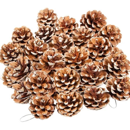 TRIANU 27 Pieces Mini Christmas Snow Pine Cones Natural Pinecones Christmas Ornament 4 to 5 cm Pinecones Pendant for Home Thanksgiving Christmas Party Decoration | Walmart (US)