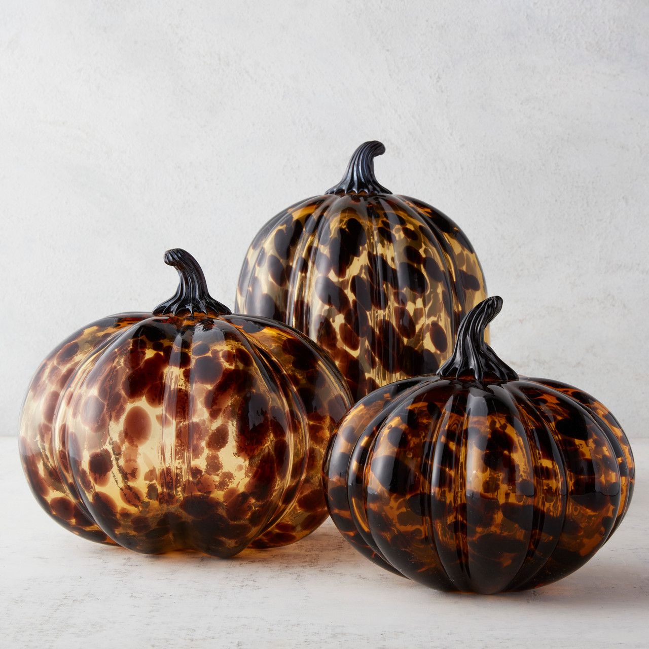 Tori Pumpkin | Z Gallerie