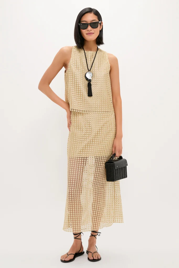 Gold Metallic Star Lace Eve Skirt | Tuckernuck (US)