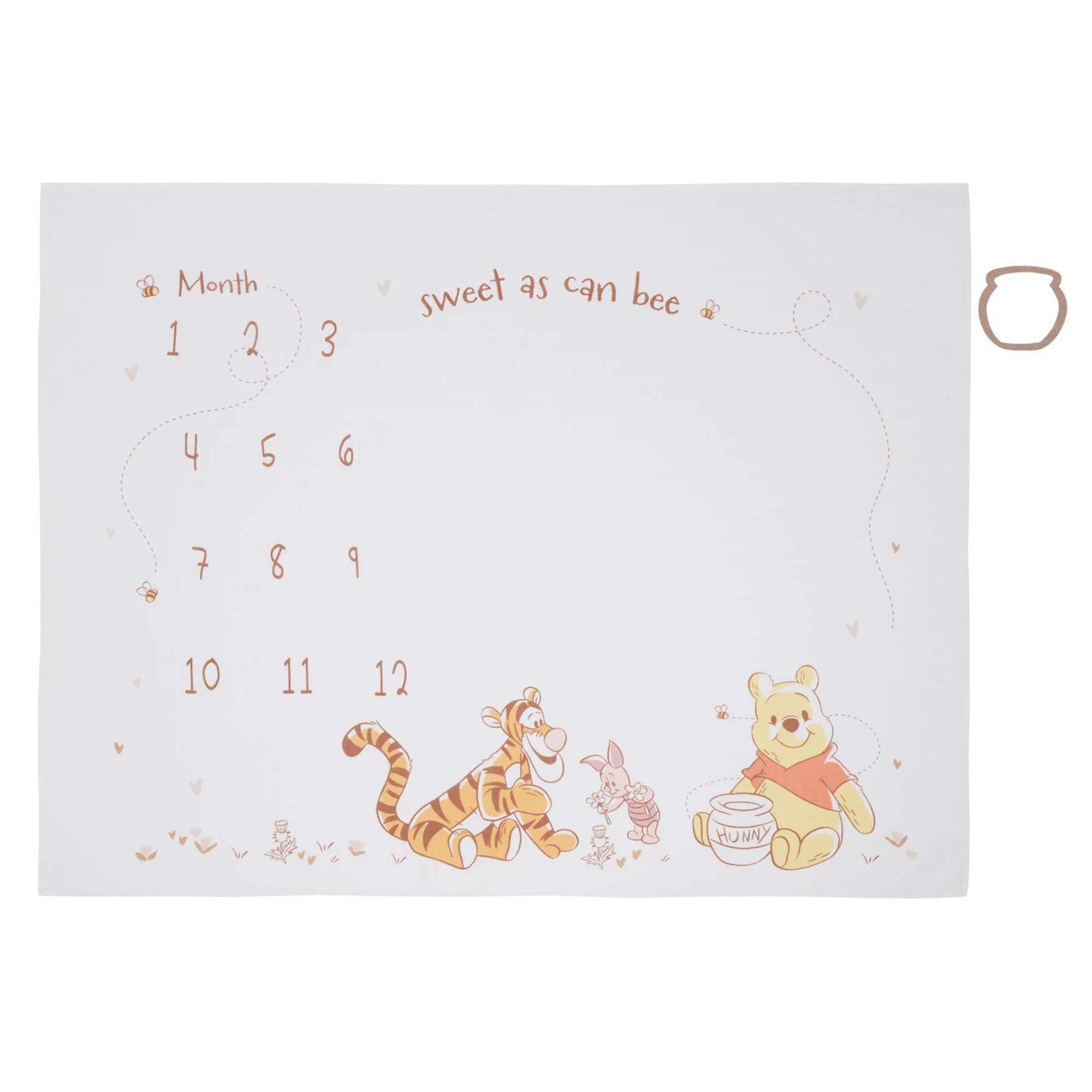 Disney's Winnie the Pooh Milestone Blanket | Kohl's