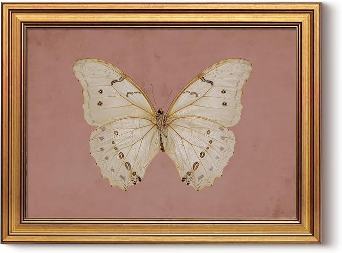 InSimSea Gold Framed Canvas Prints Wall Art, Vintage Bathroom Decor, Classical Moody White Butter... | Amazon (US)