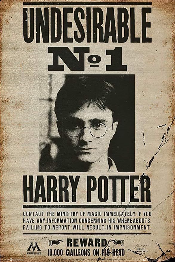 Harry Potter - Movie Poster/Print (Harry Potter Wanted - Undesirable No. 1) (Size: 24 inches x 36... | Amazon (US)