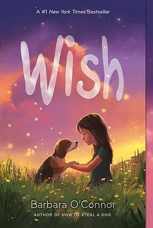Wish      Paperback – August 29, 2017 | Amazon (US)