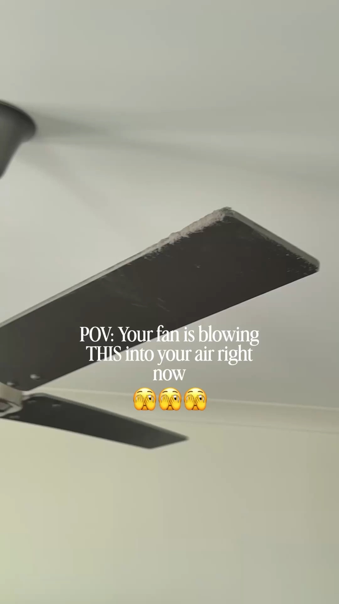 After taking a good look at our ceiling fan, I knew I needed a better way to clean it than dragging in a ladder and knocking dust everywhere.

I ordered this fan cleaner, and it has been so helpful for cleaning the blades and even reaching cobwebs on the ceiling. 

#LTKHome