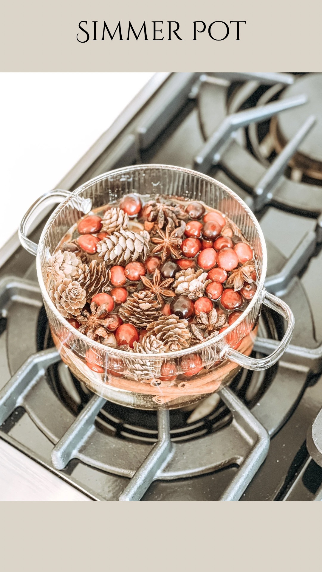 Simmer pot for Christmas 


#LTKSeasonal #LTKHoliday #LTKHome