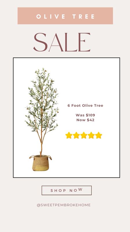 Best Seller Faux Olive tree is on sale again as low as $28 #olivetree #fauxtree 

#LTKSpringSale #LTKsalealert #LTKhome