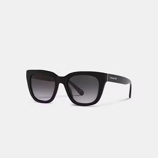 Legacy Stripe Square Sunglasses | Coach (US)