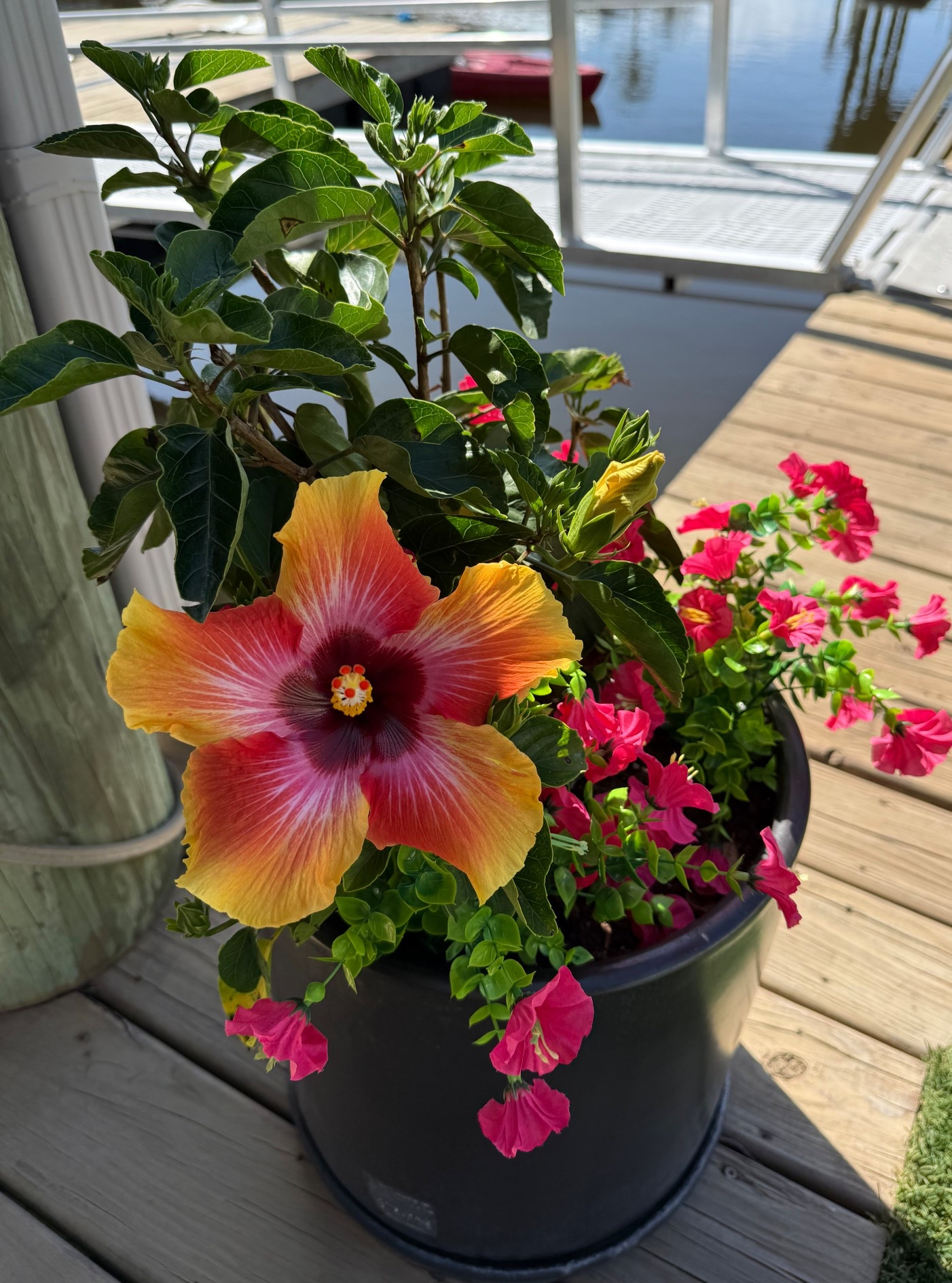 Realistic faux outdoor flower black outdoor planter pot 

#LTKSeasonal #LTKSaleAlert #LTKHome