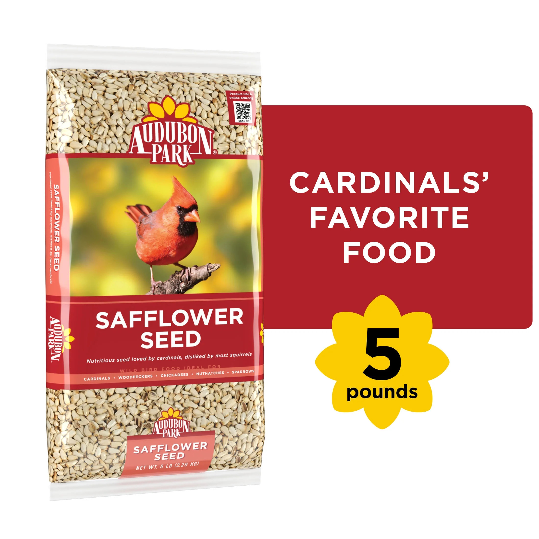 Audubon Park Safflower Seed Wild Bird Food, Dry, 1 Count per Pack, 5 lb. Bag | Walmart (US)