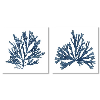 (Set of 2) Canvas Wall Art Set Pacific Sea Mosses Blue On White by Wild Apple Portfolio - America... | Target